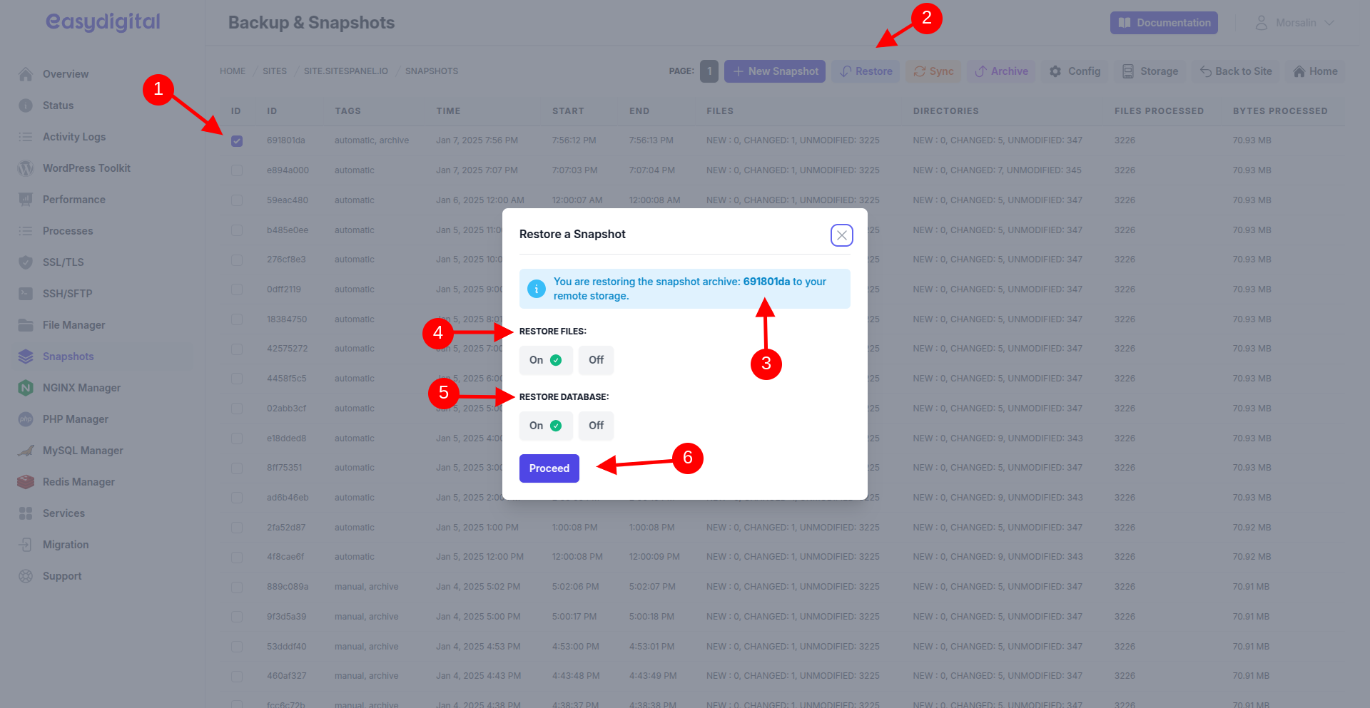 site-snapshots-restore.png